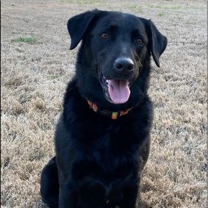 Meet your Posher, Richard